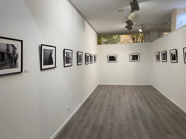 Imagen de la exposición In-volución en el centro cultural San Juan Bautista